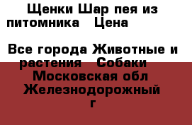 Щенки Шар пея из питомника › Цена ­ 25 000 - Все города Животные и растения » Собаки   . Московская обл.,Железнодорожный г.